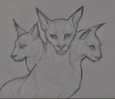 an image of three animals that are in the process of being drawn by someone's hand