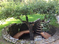 a tree that is sitting in the middle of a stone wall with steps leading up to it