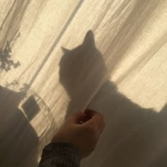 the shadow of a person's hand on a curtain with a cat behind it