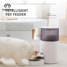 a white cat is eating out of a water dish with the caption, intelligent pet feeder