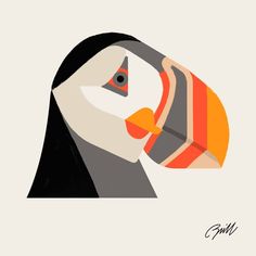 an illustration of a toucan bird with orange and black stripes on its face