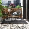 a cat laying on top of a black rug in front of a window next to a potted plant