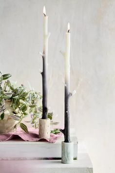 two candles are sitting next to each other on a table with plants in the background