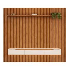 an overhead view of a wooden wall with shelves and plants on it, against a white background