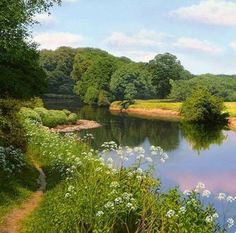 a river running through a lush green forest filled with lots of trees and white flowers