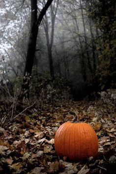 a pumpkin sitting on the ground in front of some trees with leaves all over it