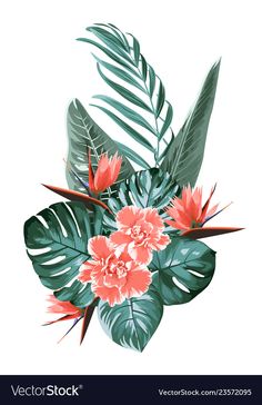 tropical leaves and flowers on a white background