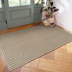 a rug on the floor in front of a door with potted plants next to it