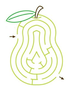 an apple is shown with arrows pointing to the center and bottom part of it, which shows