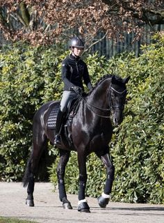 a woman riding on the back of a black horse down a sidewalk next to bushes