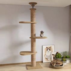 a cat sitting on top of a scratching tower