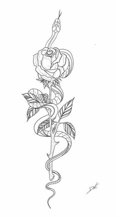 a snake wrapped around a rose tattoo design