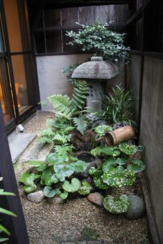 an outdoor garden with plants and rocks