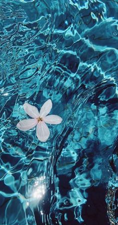 a white flower floating on top of a blue water filled with ripples and bubbles