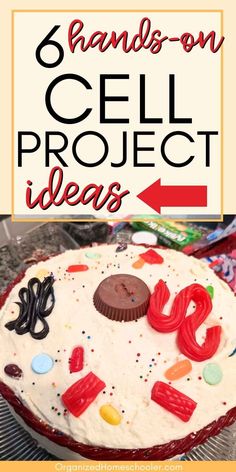 6 hands on cell project ideas written above an animal cell cake Biology Hands On Activities, Diy Animal Cell Model, Anatomy Of A Cell Project, Candy Animal Cell Model, Microbiology Creative Projects, Cell Models Project, Jello Animal Cell Project, Cell School Project Ideas