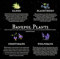 Flower Correspondences Witchcraft, Bittersweet Nightshade Witchcraft, Wormwood Witchcraft, Skullcap Magical Properties, Desert Witchcraft, Strange Horticulture, Baneful Herbs, Herb Correspondences, Baneful Magick