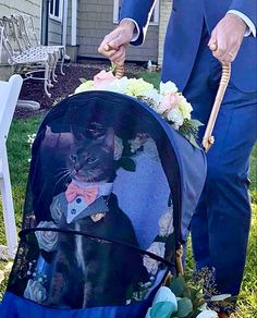 a man in a blue suit pushing a stroller with a cat on the back