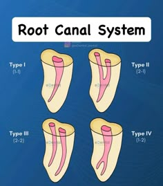 Dentist Thuraia - 💙💙 Hand Strengthening Exercises, Dental Information, Dental Cabinet, Hand Strengthening, Medical Drawings, Cabinet Interior