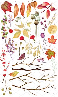 watercolor painting of autumn leaves and berries