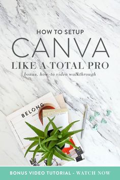 the cover of how to setup canva like a total pro, featuring a potted plant