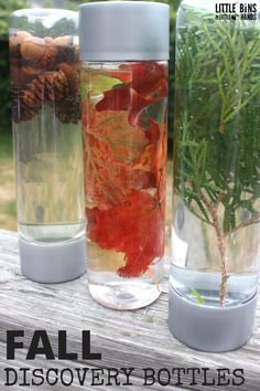 three glass vases filled with leaves and water