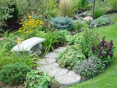 a garden filled with lots of different types of flowers and plants next to a stone bench