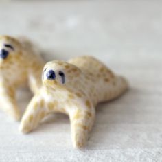 two little starfishs with blue eyes sitting on a white surface