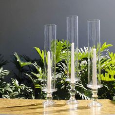 "Clear Glass Candle Holder Elegant Pillar Taper Candlesticks Set of 3" Glass Candle Cover, Cylinder Candles, Clear Glass Candle Holders, Electronic Candles, Candle Shades, Candle Cover, Glass Cylinder, Candle Flames, Taper Candle Holders