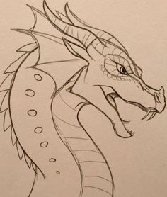 a drawing of a dragon with its head turned to the side and it's mouth open