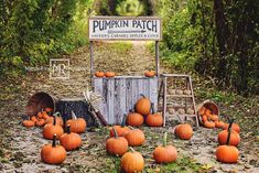 pumpkins on the ground in front of a sign that says pumpkin patch