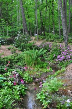 a stream running through a forest filled with lots of trees and flowers on the ground