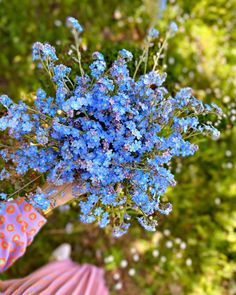 a person holding blue flowers in their hand