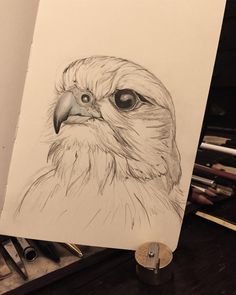 a drawing of an eagle's head on a piece of paper next to some pens and pencils