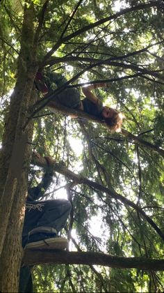 two people climbing up the side of a tree