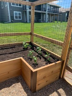 a garden bed with plants growing in it