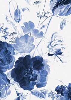 an image of blue flowers on a white background