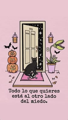 a black cat sitting in front of a door with pumpkins on the ground and a potted plant next to it