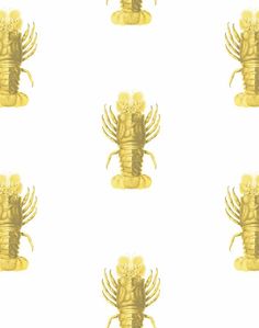 an image of a scorpion pattern on a white background