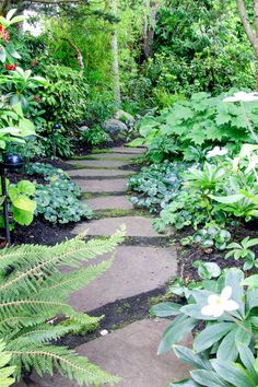 a garden with lots of green plants and trees in the background, along with a stone path