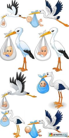 different types of storks and their babies