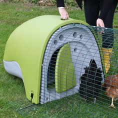 a man standing next to a chicken in a green and white cage on the grass