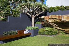 a wooden bench sitting in the middle of a lush green yard next to a tree