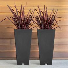 two tall black planters sitting next to each other