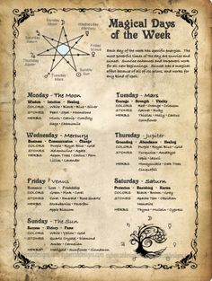 Magical Days of the Week Correspondences | Book of Shadows Charmed Book Of Shadows, Magical Days, Spells For Beginners, Witchcraft Books, Magic Day, Witch Spirituality, Magic Spell Book, Grimoire Book