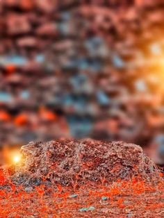 an orange substance is on top of a rock in front of a brick wall and bright light