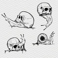 three skulls with different types of eyes and one has a snail crawling out of it