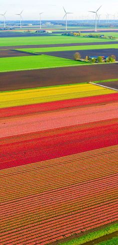 an aerial view of colorful fields with windmills in the background