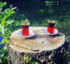 two cups of tea sitting on top of a tree stump