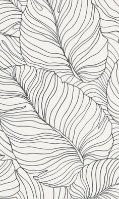 a black and white drawing of leaves with lines on the bottom, as well as an outline