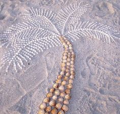 shells are arranged in the shape of a palm tree on the sand at the beach